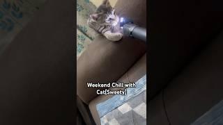 Weekend Chill with Cat (Sweety) #cat #catlove #weeknd #sweety #cats #catlover #catvideos #catshorts