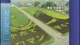 Rice Field Art