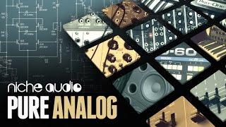 Pure Analog Maschine Expansion & Ableton Live Pack - From Niche Audio