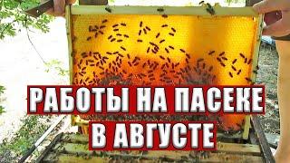 Работа на пасеке в августе или Главный осенний осмотр