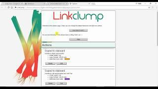 Copy  and paste Multiple URL using Chrome Browser with one click