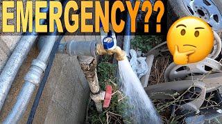 Tenant reported an emergency water leak let's fix it ourselves!