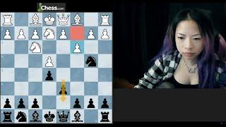 Live Chess Streaming! Let's play chess!