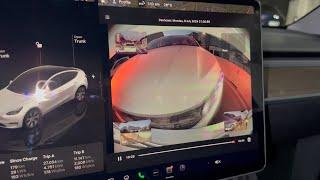 My Tesla Model Y Got Hit! Rear End Collision Explained