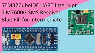 45. STM32CubeIDE Control via SIM7600. UART Interrupt with STM32F103C8T6