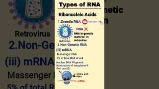 types of rna and their functions | types of rna class 12 | mRNA tRNA rRNA | RNAs #class12biology