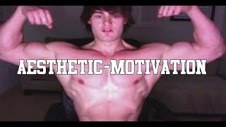 AESTHETICS MOTIVATION; JEFF SEID, LEXX LITTLE, DAVID LAID, ZYZZ | Fitness Motivation