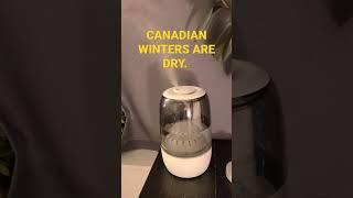 smart humidifier by switchbot prevents dry itch!