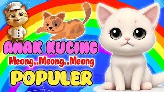 Anak Kucing Meong Meong / Lagu Anak Anak  / Lagu Anak Indonesia Populer / KATSUKIDS