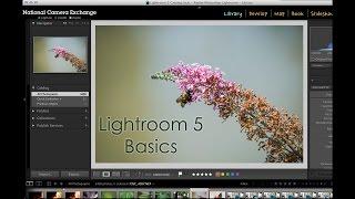 Adobe Lightroom 5: Workspace View Options