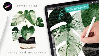 Let's paint a watercolor monstera houseplant 🪴 Procreate tips and tricks for beginners