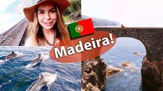 Madeira Island Travel Vlog! Dolphin watching & more