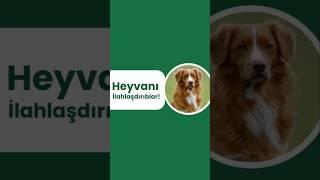 Heyvanlara görə etiraz edənlər - Şeyx Orxan Məmmədov #heyvan #heyvanlar #sevgi #gənclər