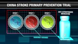 Folic Acid for Stroke Prevention in Hypertension