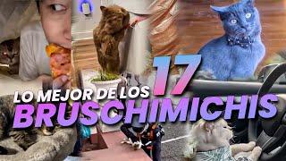 LO MEJOR DE LOS BRUSCHIMICHIS 17 - PABLO BRUSCHI