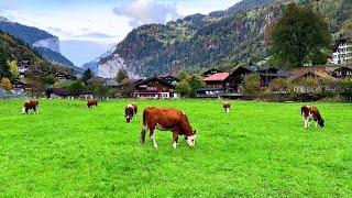 Switzerland Lauterbrunnen Valley  an Alpine Paradise for Travellers | #swiss #swissview