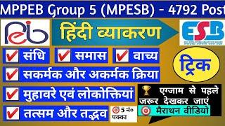 MPPEB Group 5 Classes | Complete Hindi Marathon Video | MP Staff Nurse Classes | MP Group 5 Classes