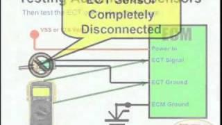 ECT Sensor & Wiring Diagram