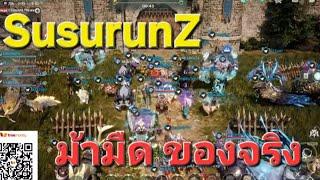 (เกมส์มือถือ)  AcheAge War 2025 : SusurunZ ยึดประสาท 1 หลัง วันนี้  ฉีกหน้า Guild ใหญ่ ให้นอนวัด