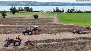 Massey Ferguson Power beim Grubbern 