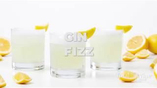 Gin Fizz Cocktail Recipe