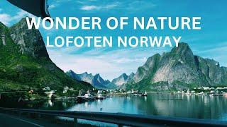 Lofoten, Norway: A Journey Through Snow, Seasons, and Scandinavian Charm