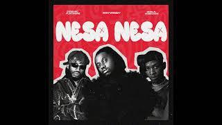 Rayvanny feat Diamond Platnumz & Khalil Harrison - NESA NESA (Official Music Audio) (Track No.2)