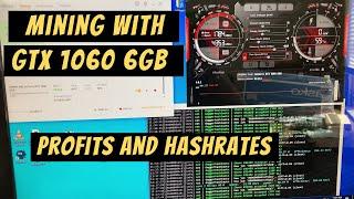 GTX 1060 6GB - Mining Profits and Hashrates