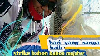 Ini baru namanya mancing gays...strike yg luar biasa