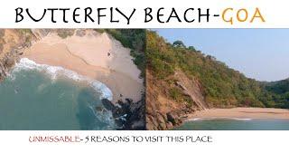 ButterFly Beach in South Goa | Hidden Paradise| 5 Reasons to visit | Goa post Lockdown