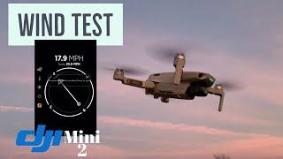 DJI Mini 2 Wind Test