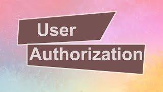 Oracle APEX - User Authorization Schemes