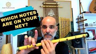 Which Notes Are On Your Ney - The Full Tutorial