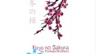 Yoshida Brothers - Fuyu no Sakura