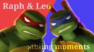 Raph & Leo being siblings for 2 minutes and 40 seconds | TMNT2012