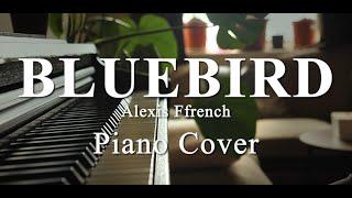 Beautiful Piano Cover of 'Bluebird' by Alexis Ffrench | Intermediate Level Performance