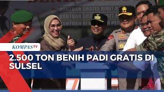 Pemprov Sulsel Luncurkan Program Mandiri Benih Tahap 3 di Center Point of Indonesia Makassar