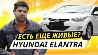 Надежность внеклассового седана. Hyundai Elantra | Подержанные автомобили