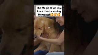 The Magic of Animal Love Heartwarming Moments!