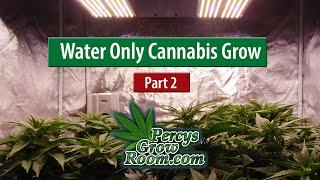 Water Only Living Soil Cannabis Grow (Part 2)