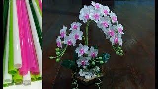 ดอกไม้จากหลอด ดอกกล้วยไม้จากหลอด by มายมิ้นท์ Orchid flower from Straws.