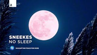 Sneekes - No Sleep [Big & Dirty Records]