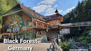 #blackforest #germany #titisee #triberg  Must visit attractions in Black Forest, Germany