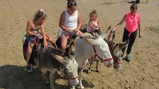 Donkey Riding at Dymchurch