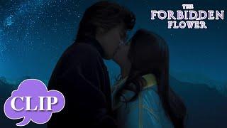 They kissed sweetly at the top of the mountain | The Forbidden Flower | EP12 Clip