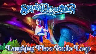 Splash Mountain - Laughing Place Audio Loop (Everybody's Got a Laughing Place)