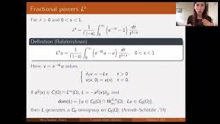 Fractional elliptic equations in nondivergence form, Mary Vaughan