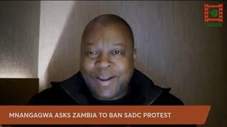 #6 ZAMBIASADCPROTESTS: Mnangagwa begs Zambia to ban SADC protests by Zimbabweans
