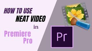 How to use Neat Video in Premiere Pro. Quick Start Guide