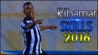 Lucas Ribamar ● Goals & Skills ● Botafogo ● 2016 ● ||HD|| ● Young Talent ●